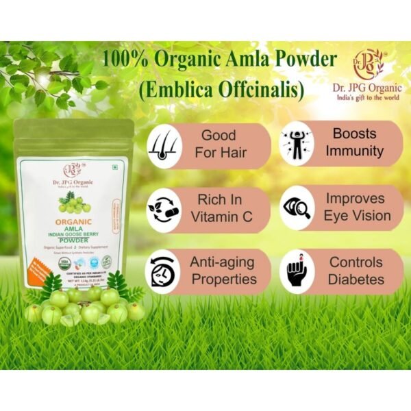 best amla powder - Image 2