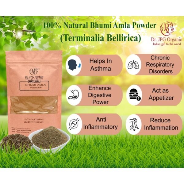 Bhumi Amla Powder-200g | Phyllanthus Niruri | 100% Natural | ISO & GMP Certified. - Image 2