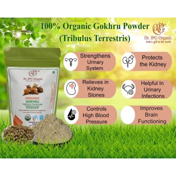 best Gokhru powder for kidney health - Image 2