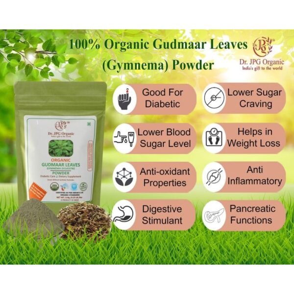 Gudmar Leaves Powder-114g | Gymnema Sylvestre | 100% Organic | INDIA ORGANIC certified | ISO & GMP Certified - Image 2