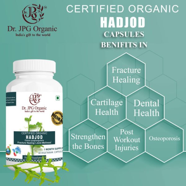 Hadjod Capsules For Joint & Bone Care 500 mg 60 Veg Capsules | INDIA ORGANIC Certified | ISO & GMP Certified | 100% Organic. - Image 2
