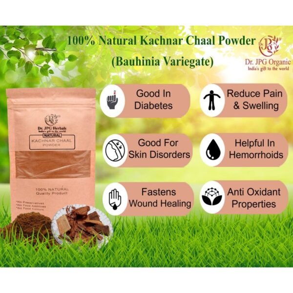 Kachnar Chaal Powder-200g | Bauhinia Variegata | 100% Natural | ISO & GMP Certiffied. - Image 2