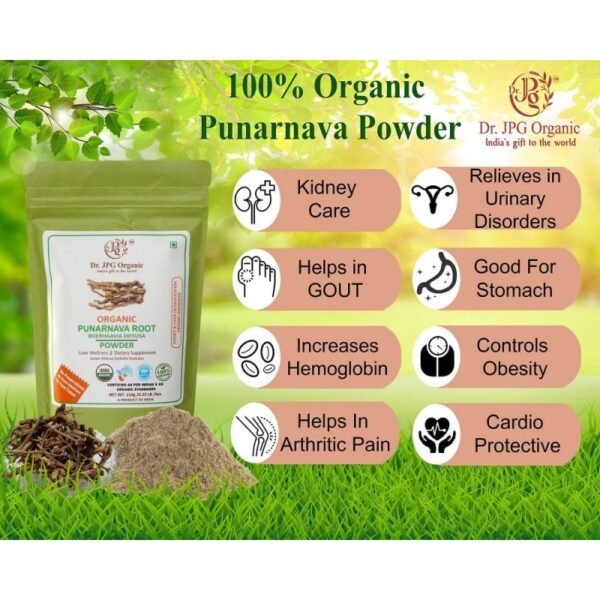 best Punarnava root powder for kidney function - Image 2
