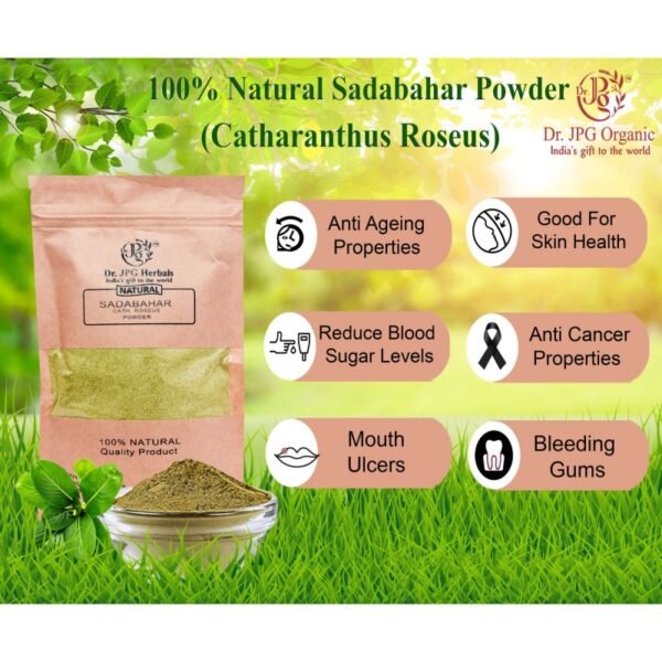 sadabahar powder - Image 2