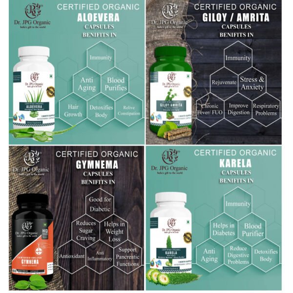 Karela, Giloy, Gymnema & Aloe Vera Capsules For Diabetic Care 240 veg. Capsules (60 Cap. In Each Bottle) INDIA Organic Certified. - Image 2