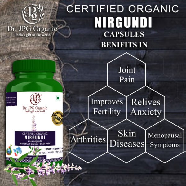Best Nirgundi capsules for arthritis and joint support - Image 2
